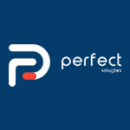 PERFECT INFORMATICA LTDA